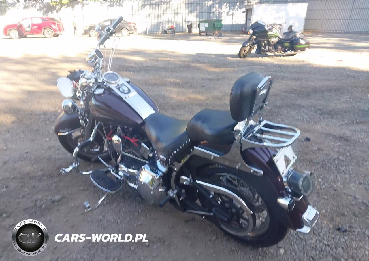 2005 Harley-Davidson Flstci VIN:1HD1BWB195Y089551 - 3