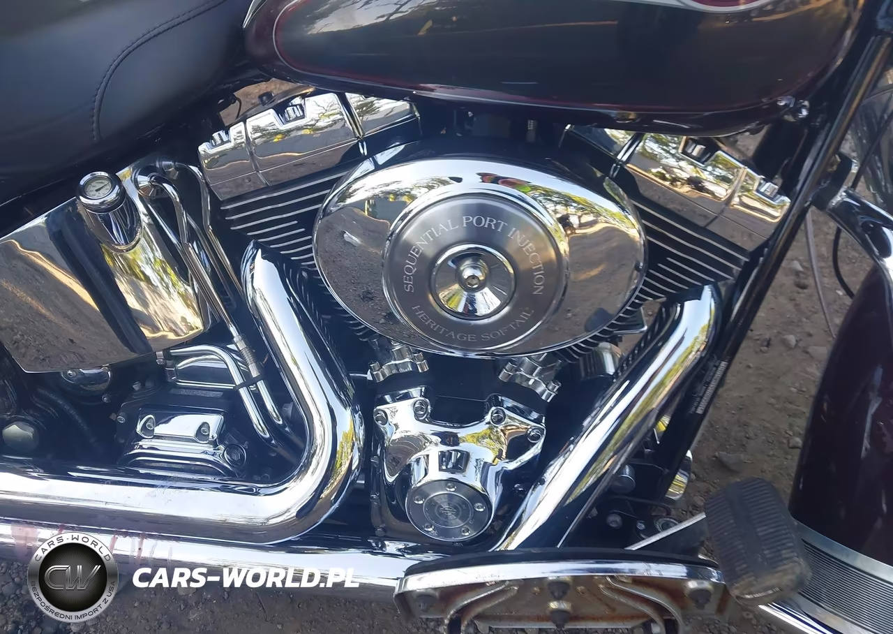 2005 Harley-Davidson Flstci VIN:1HD1BWB195Y089551 - 8