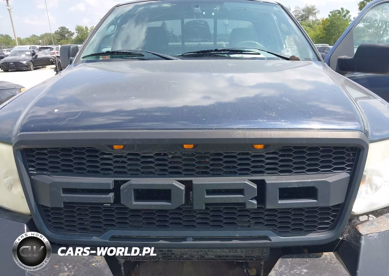 2004 Ford F-150 Fx4-Xl-Xlt VIN:1FTRF14574NC02263 - 10