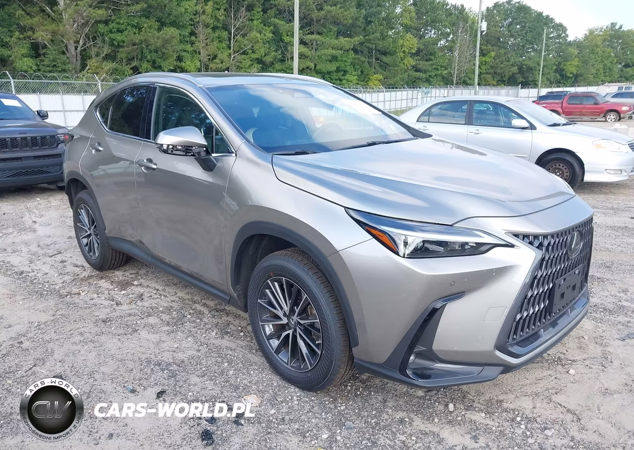2023 Lexus Nx 350 Premium VIN:2T2GGCEZ0PC016827 - 1