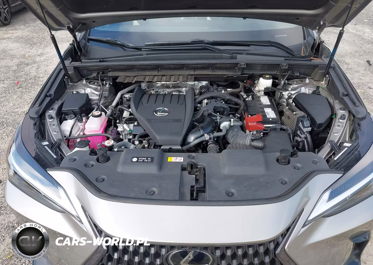 2023 Lexus Nx 350 Premium VIN:2T2GGCEZ0PC016827 - 10