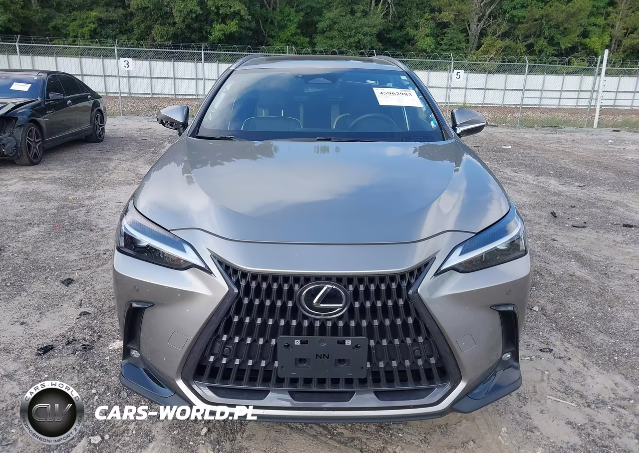 2023 Lexus Nx 350 Premium VIN:2T2GGCEZ0PC016827 - 13