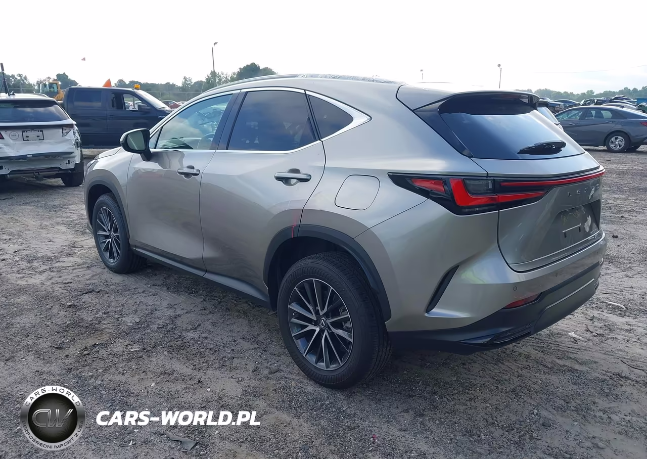 2023 Lexus Nx 350 Premium VIN:2T2GGCEZ0PC016827 - 3