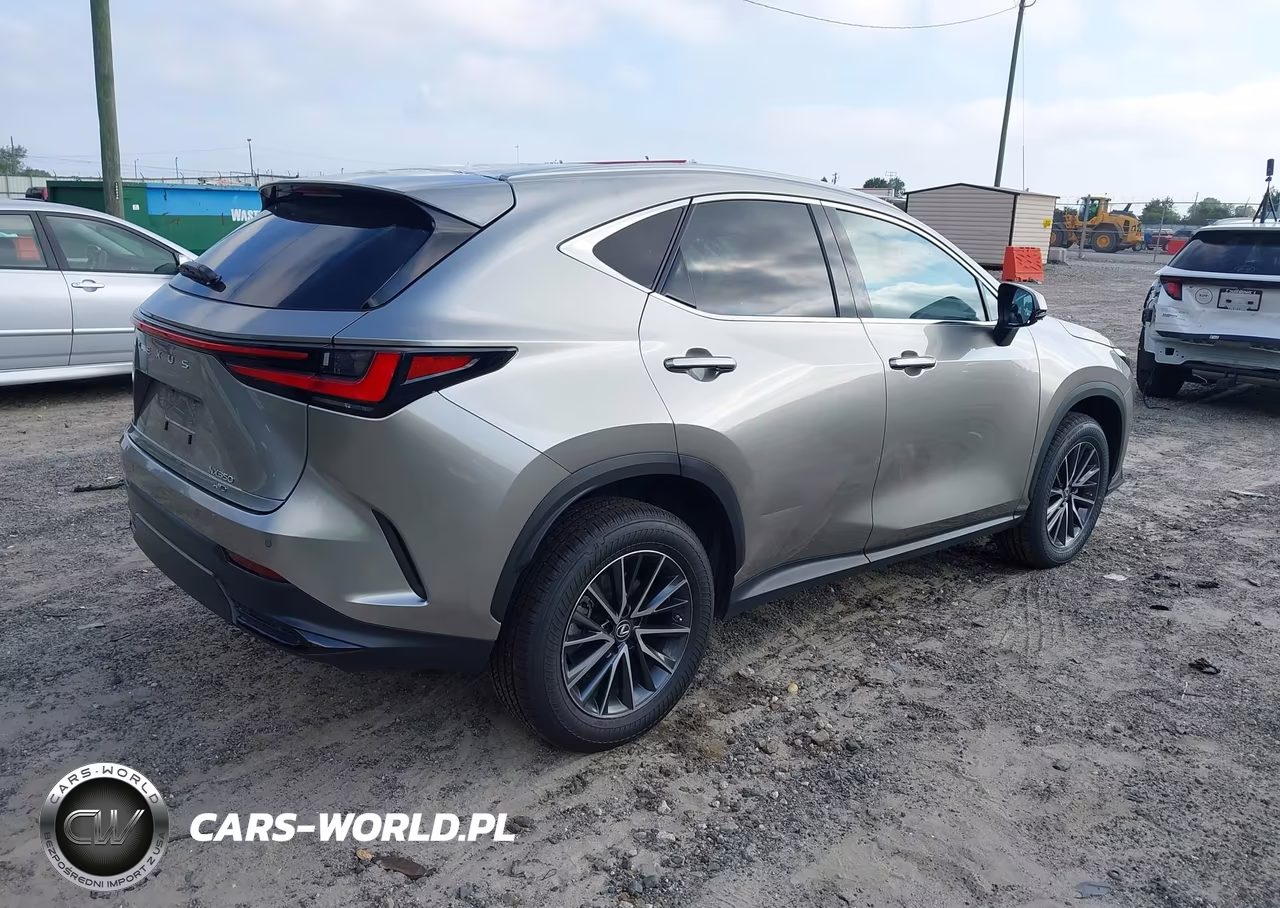 2023 Lexus Nx 350 Premium VIN:2T2GGCEZ0PC016827 - 4