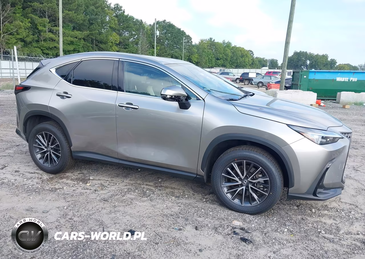 2023 Lexus Nx 350 Premium VIN:2T2GGCEZ0PC016827 - 6