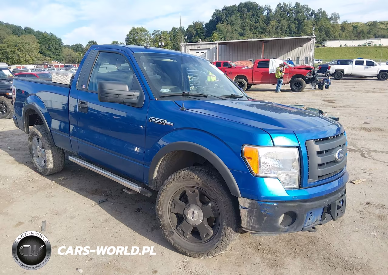 2010 Ford F150