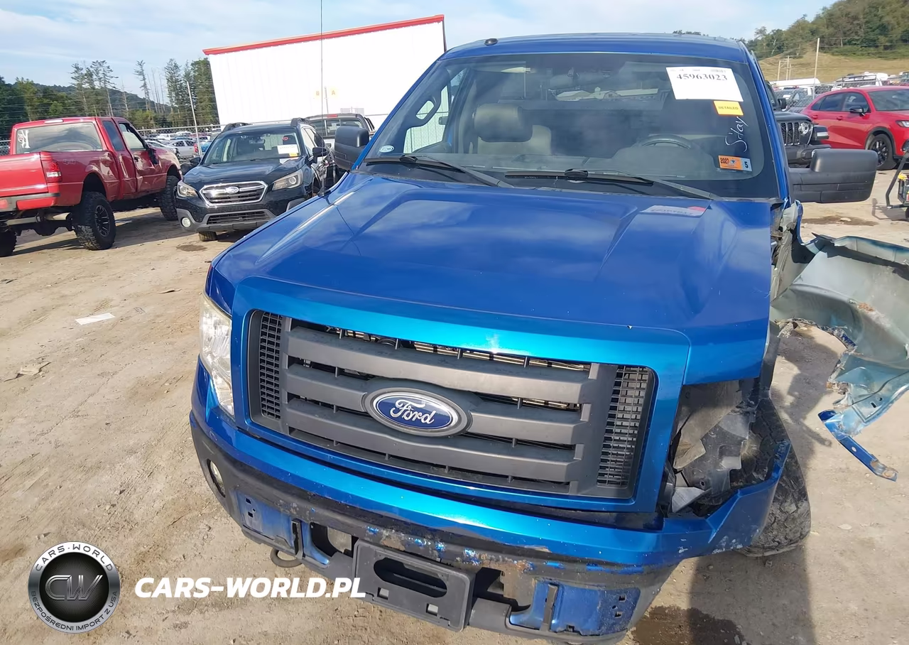 2010 Ford F150 VIN:1FTMF1E89AKA57243 - 12