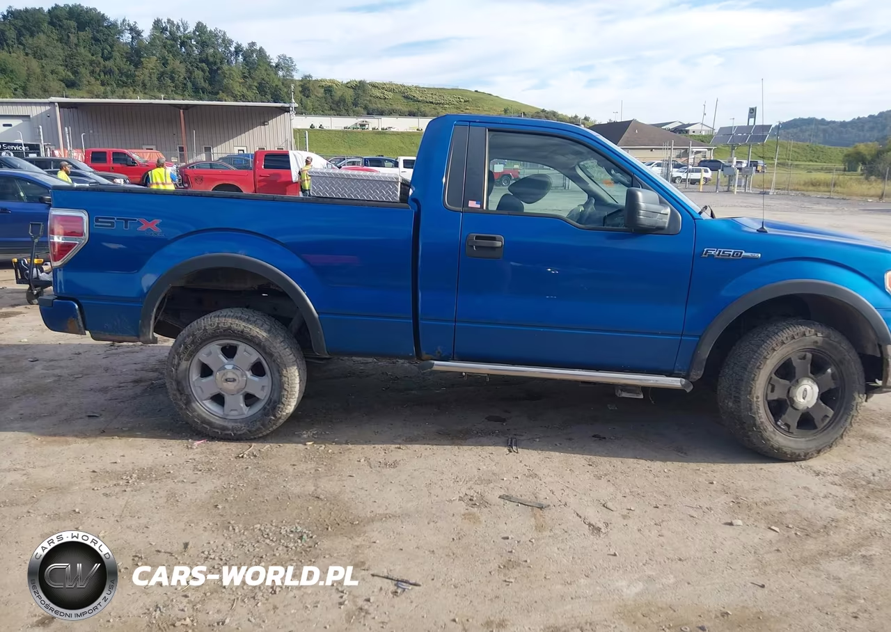 2010 Ford F150 VIN:1FTMF1E89AKA57243 - 13