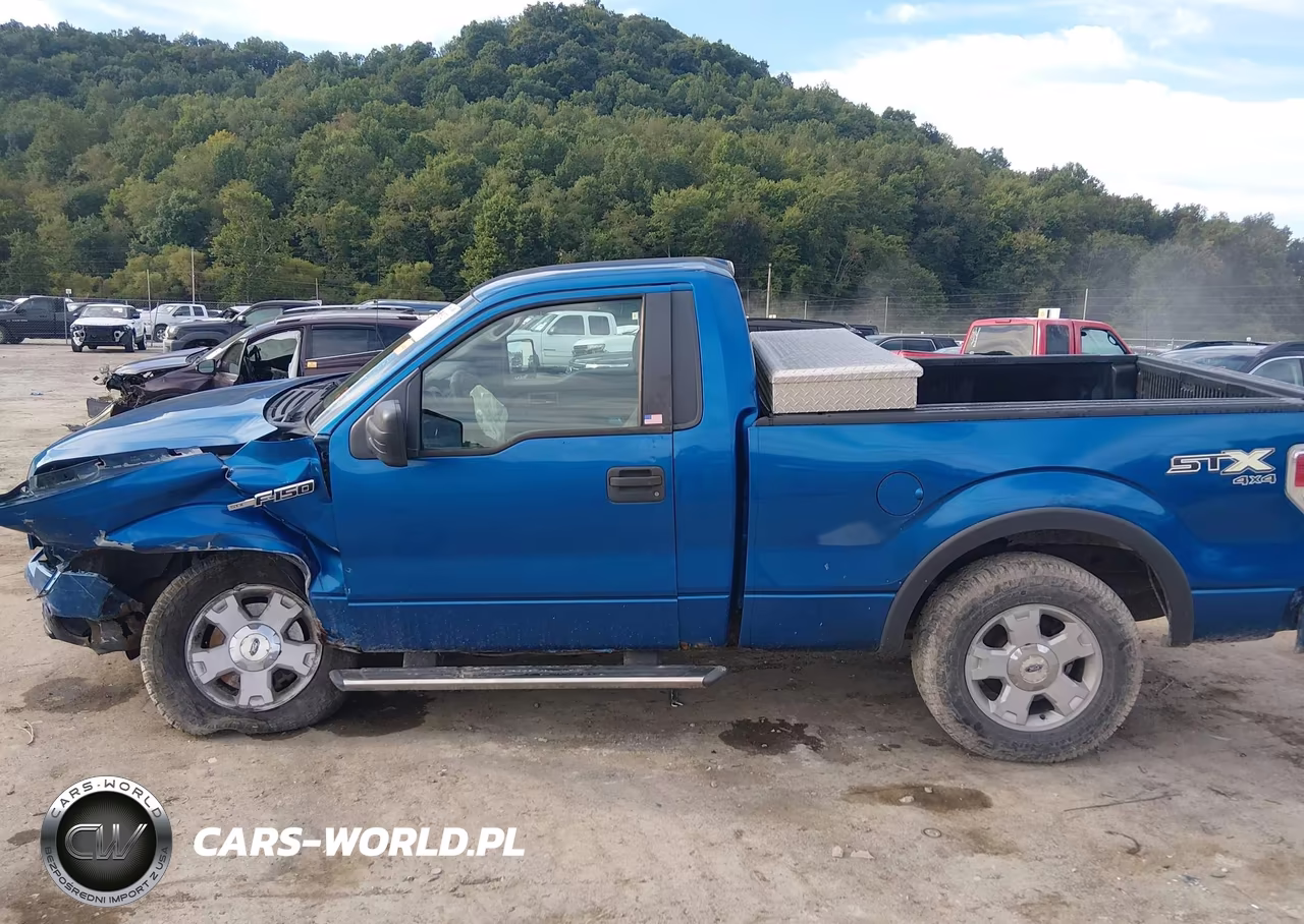 2010 Ford F150 VIN:1FTMF1E89AKA57243 - 14