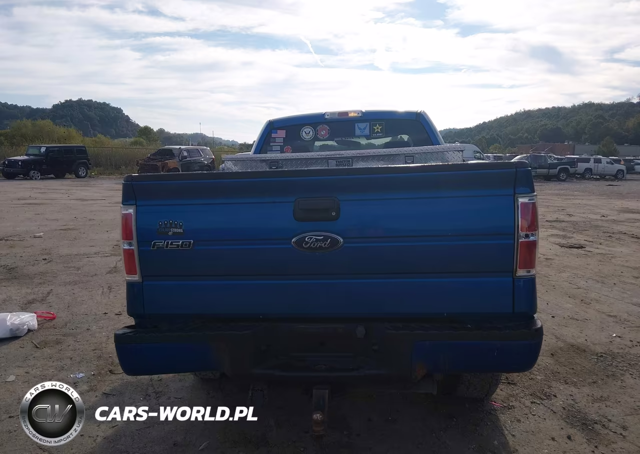 2010 Ford F150 VIN:1FTMF1E89AKA57243 - 16