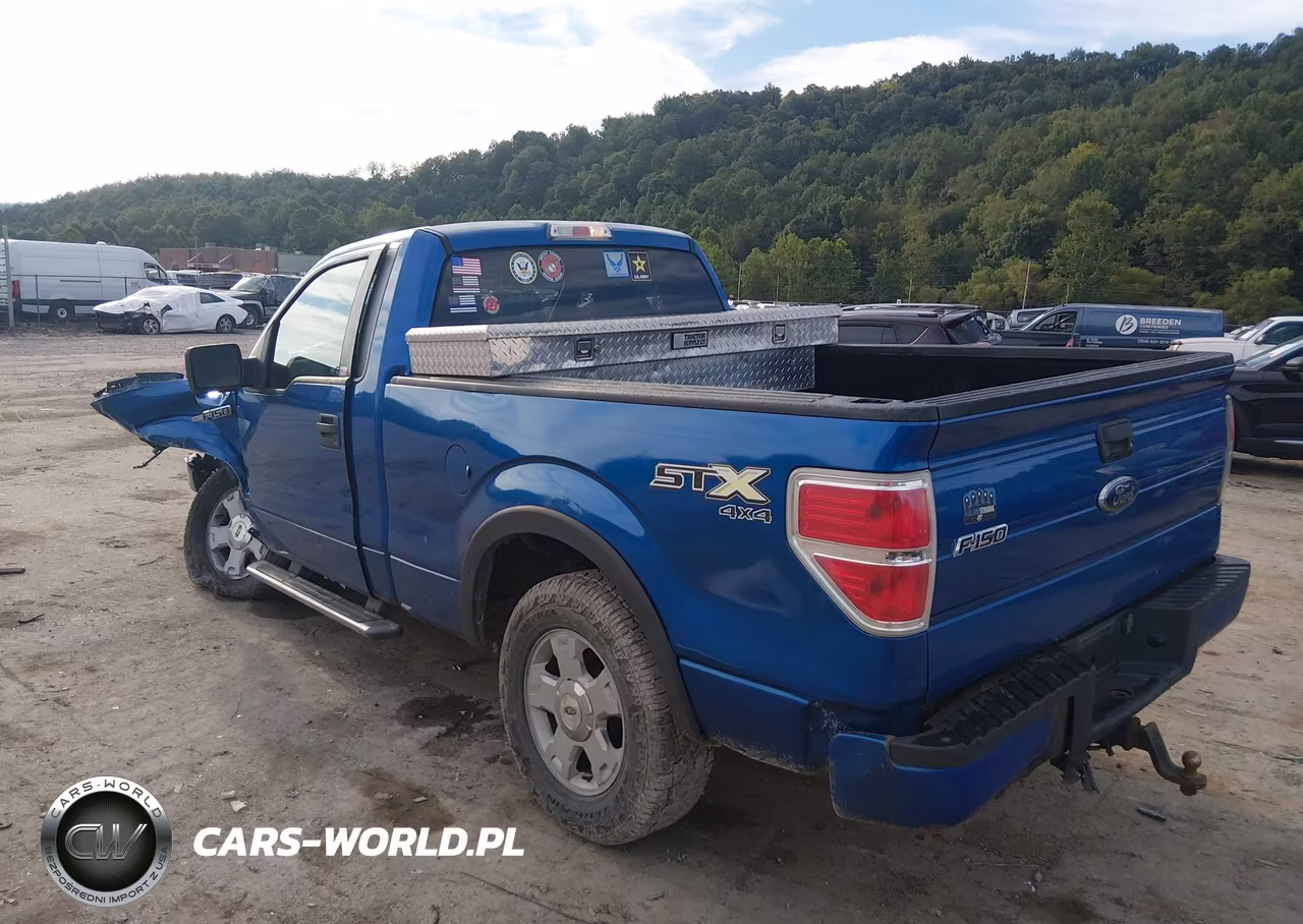 2010 Ford F150 VIN:1FTMF1E89AKA57243 - 3