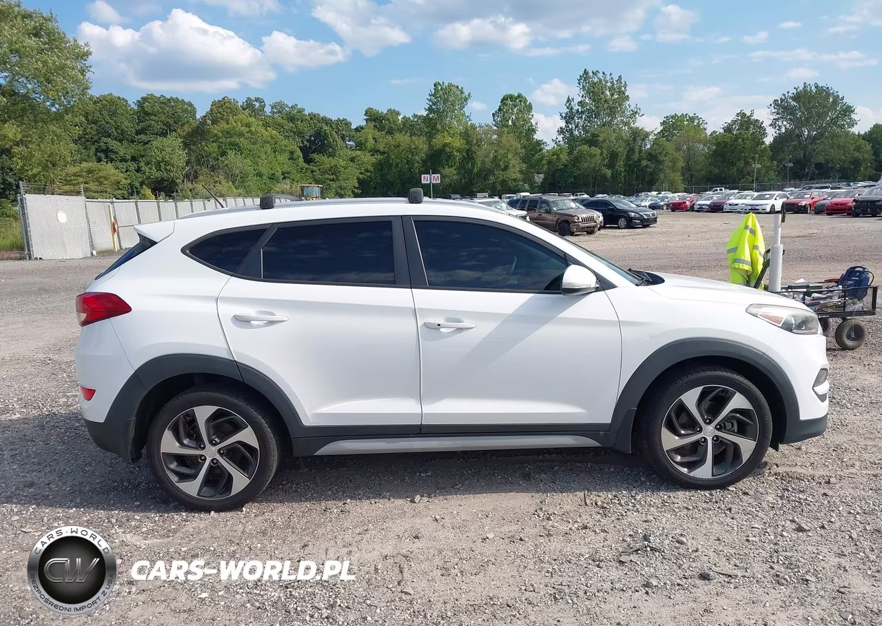 2017 Hyundai Tucson Sport VIN:KM8J33A20HU390627 - 13