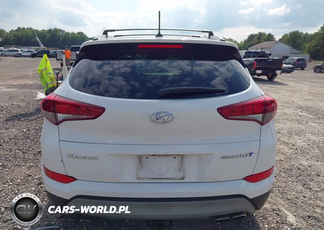 2017 Hyundai Tucson Sport VIN:KM8J33A20HU390627 - 16