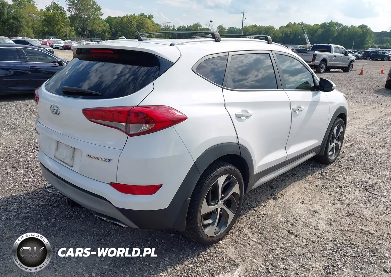 2017 Hyundai Tucson Sport VIN:KM8J33A20HU390627 - 4