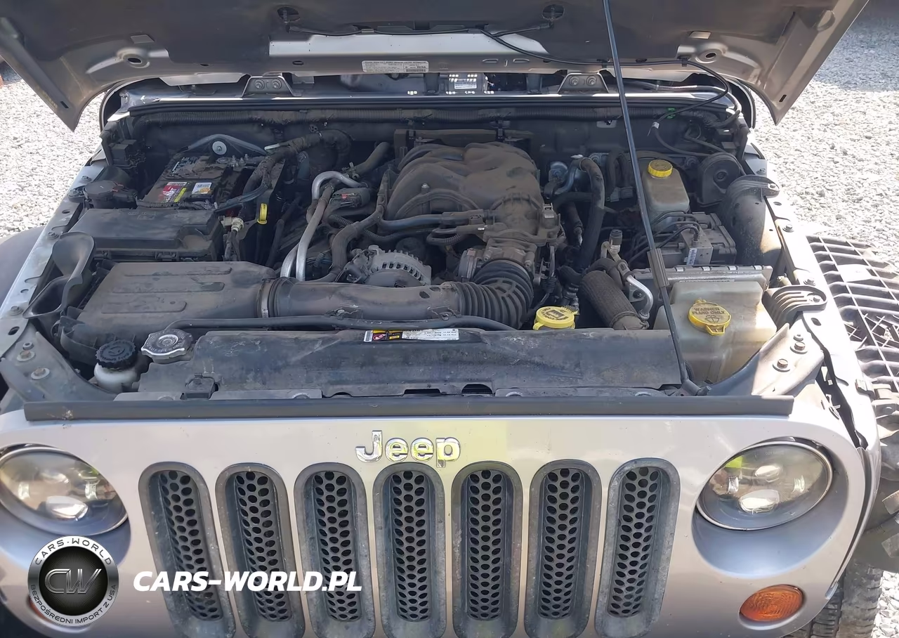 2013 Jeep Wrangler Unlimited Rubicon VIN:1C4BJWFGXDL666591 - 10
