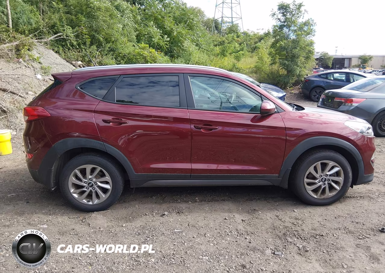 2016 Hyundai Tucson Se VIN:KM8J3CA45GU126898 - 13