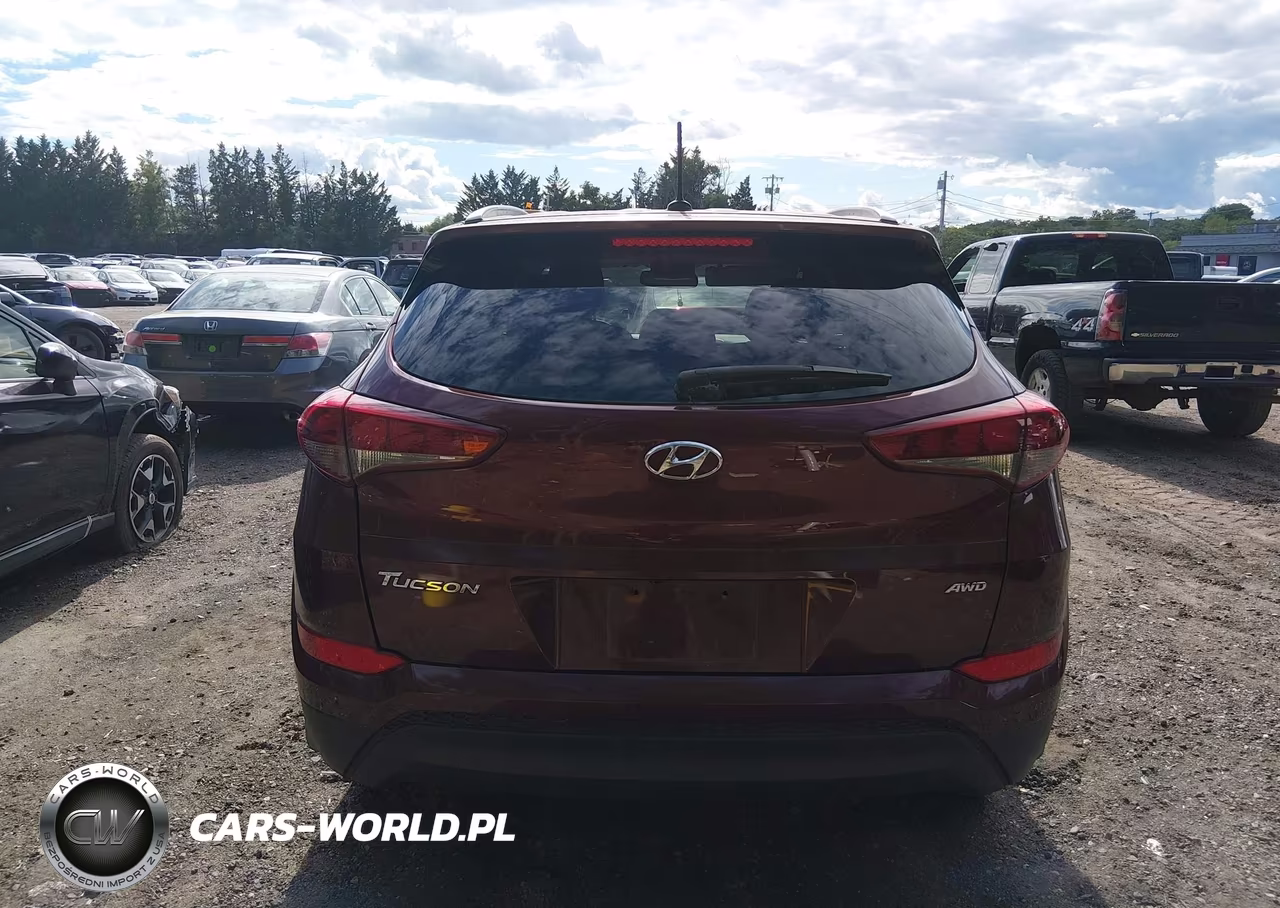 2016 Hyundai Tucson Se VIN:KM8J3CA45GU126898 - 16