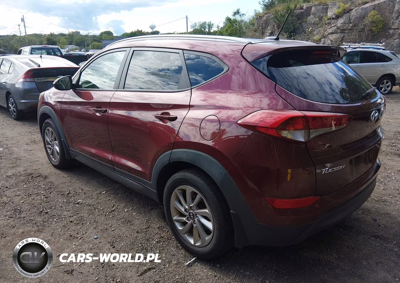 2016 Hyundai Tucson Se VIN:KM8J3CA45GU126898 - 3