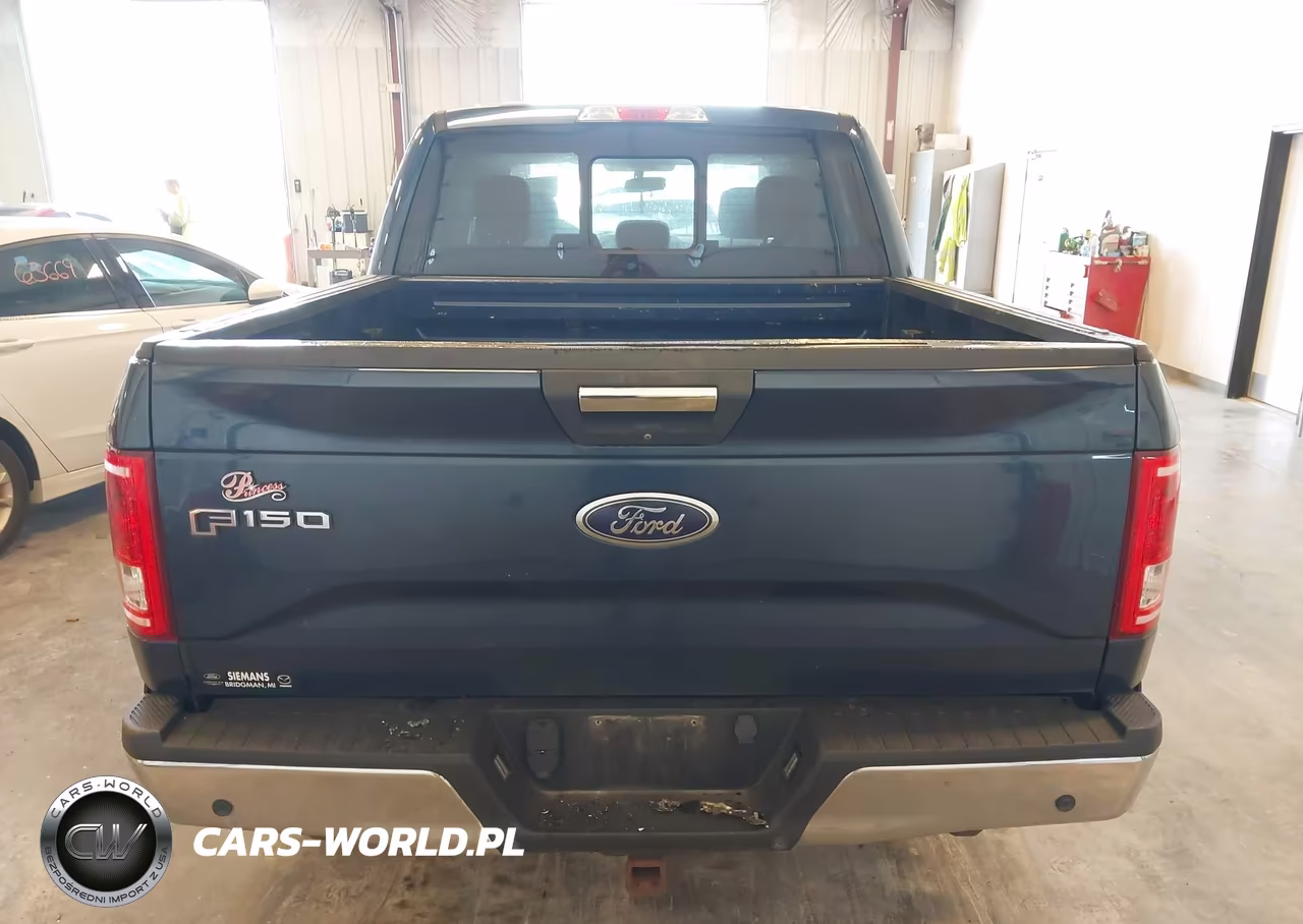 2016 Ford F-150 Xlt VIN:1FTEW1EPXGKD42036 - 16