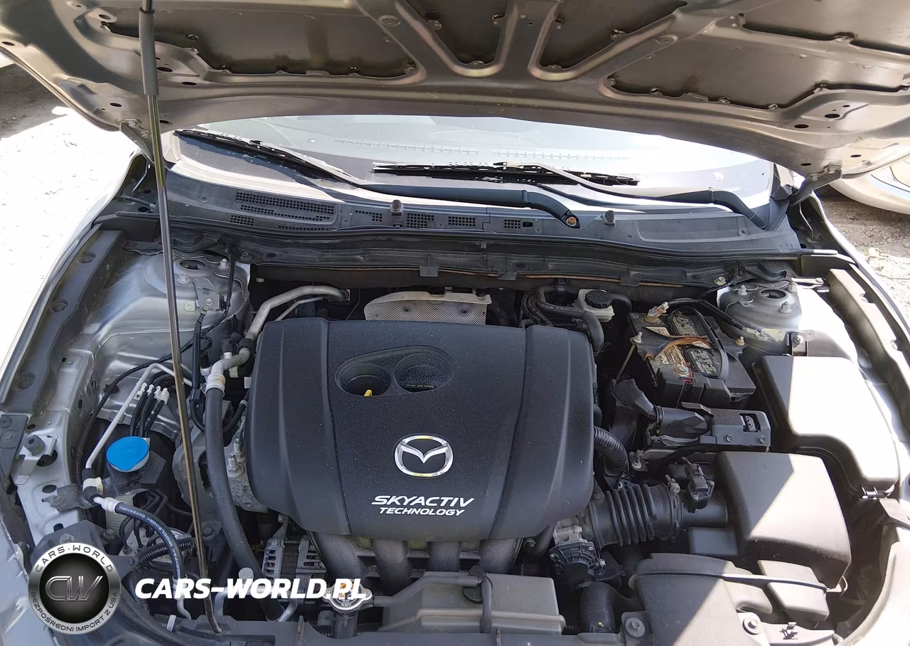 2016 Mazda Mazda3 I Sport VIN:JM1BM1U75G1303774 - 10