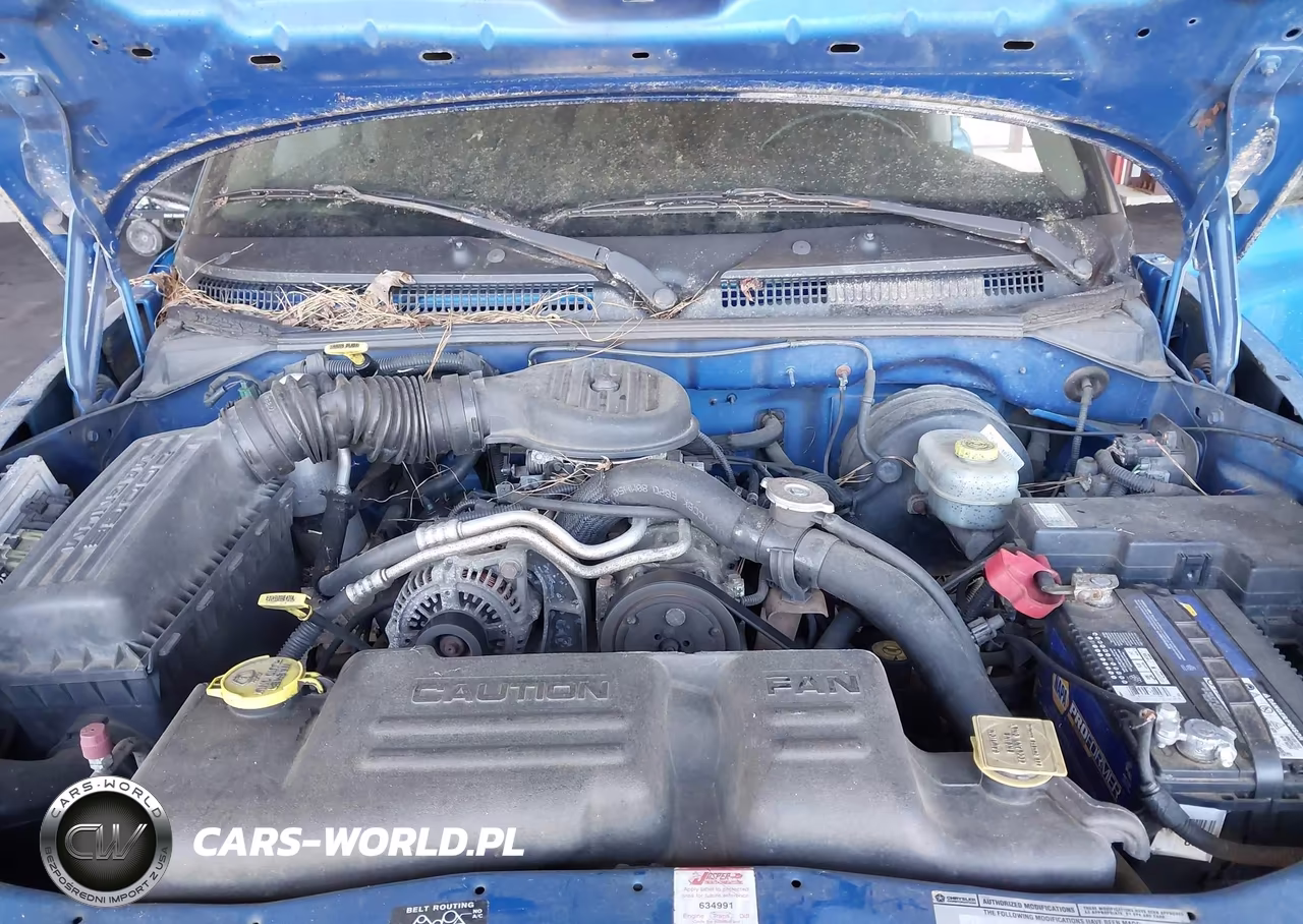 2001 Dodge Dakota Slt-Sport VIN:1B7GG22X41S223955 - 10