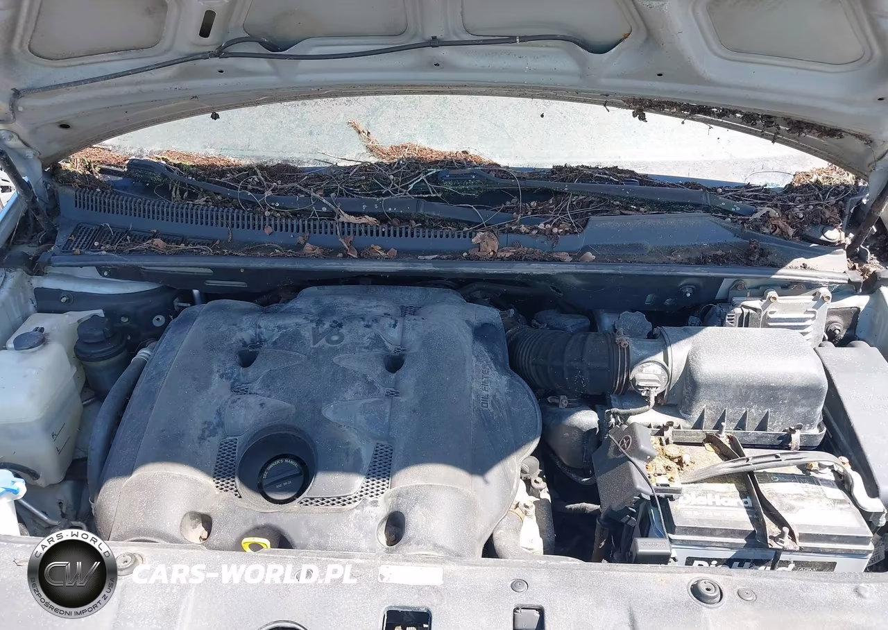 2010 Kia Sedona Ex VIN:KNDMH4C31A6326699 - 10