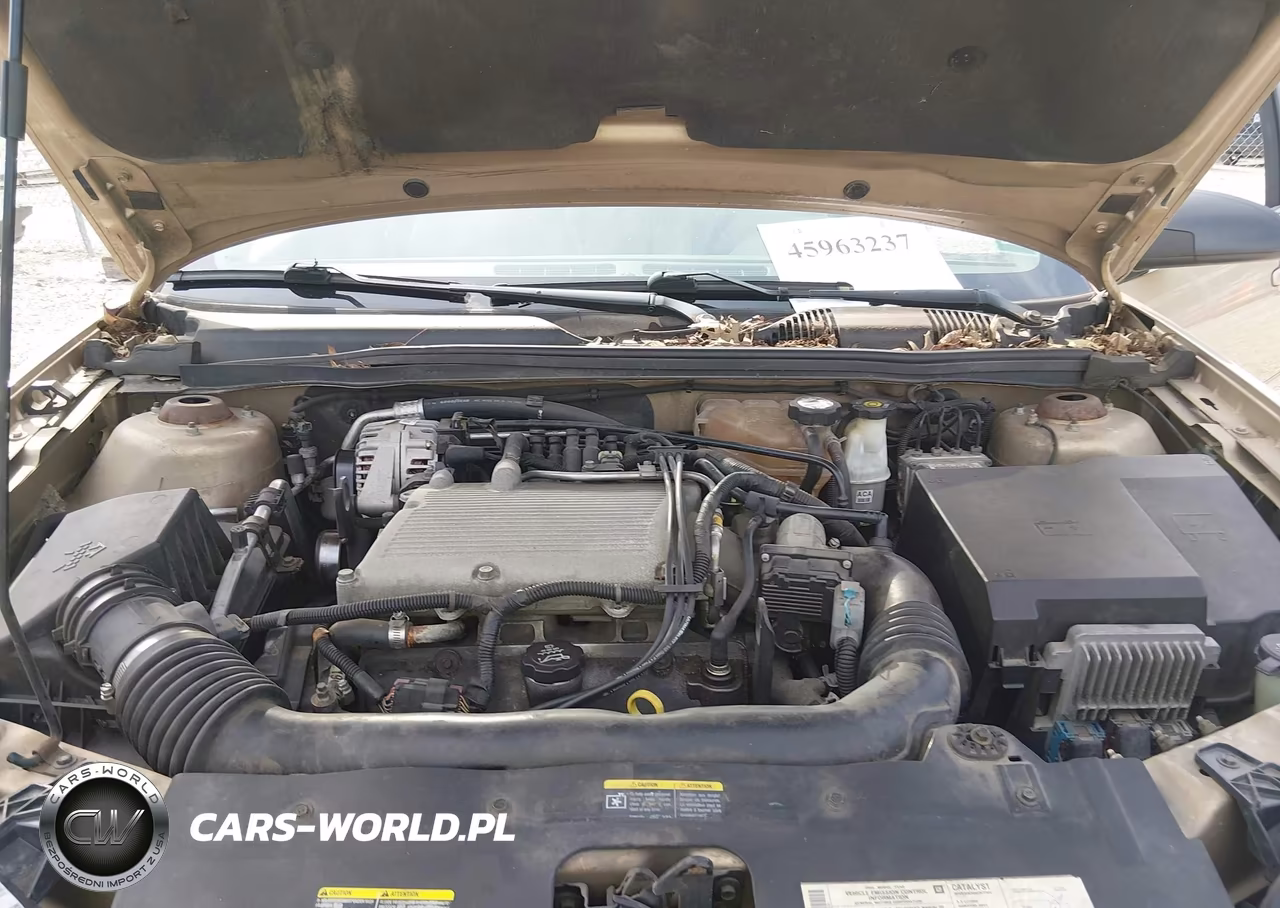 2004 Chevrolet Malibu Maxx Lt VIN:1G1ZU64884F237202 - 10