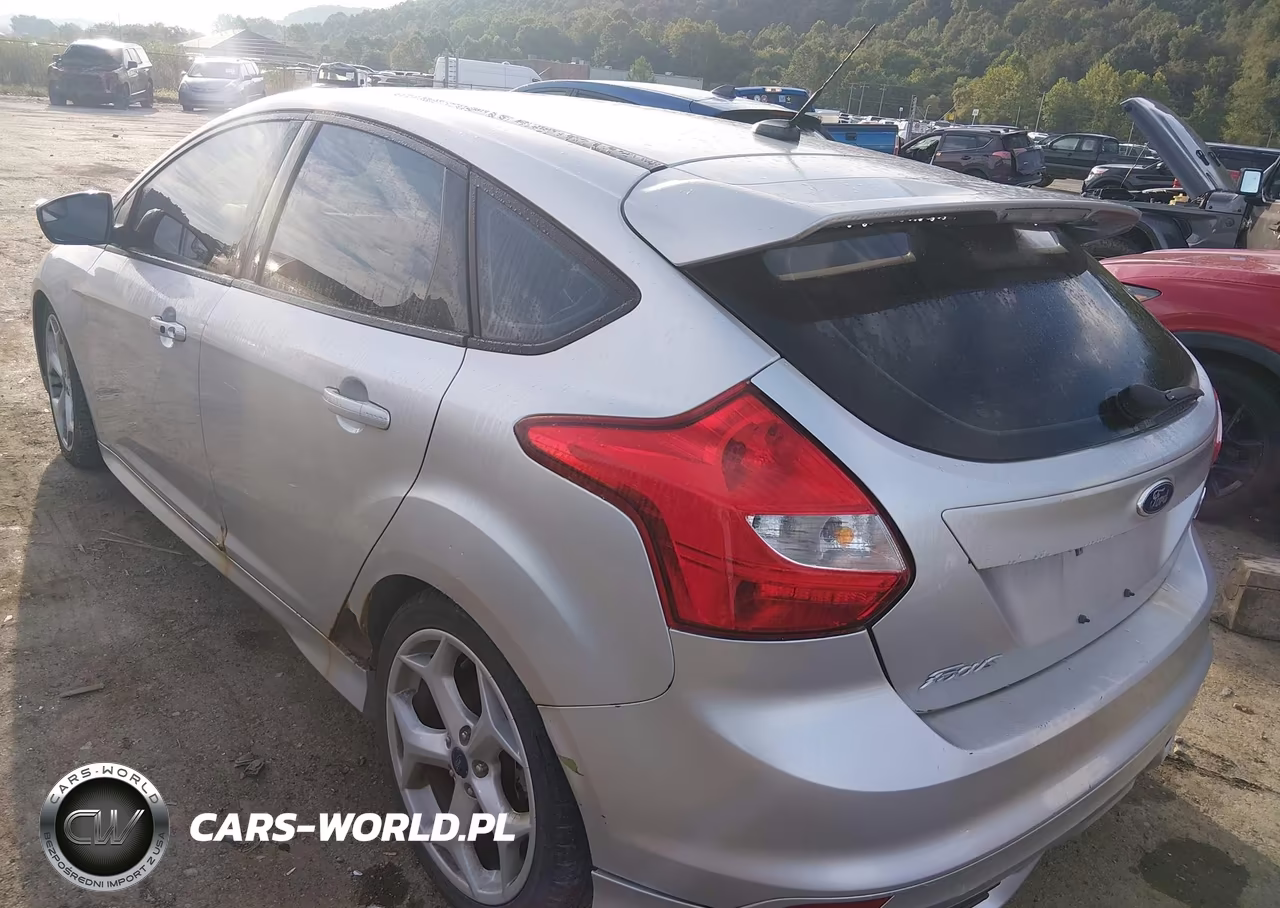 2013 Ford Focus St VIN:1FADP3L99DL348950 - 3