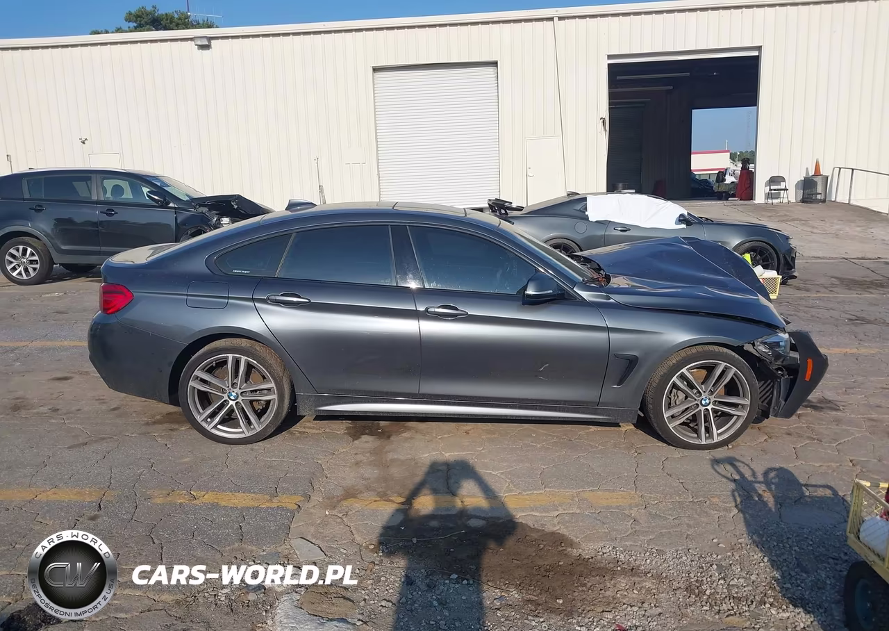 2019 BMW 430I Gran Coupe xDrive VIN:WBA4J3C50KBL07826 - 13