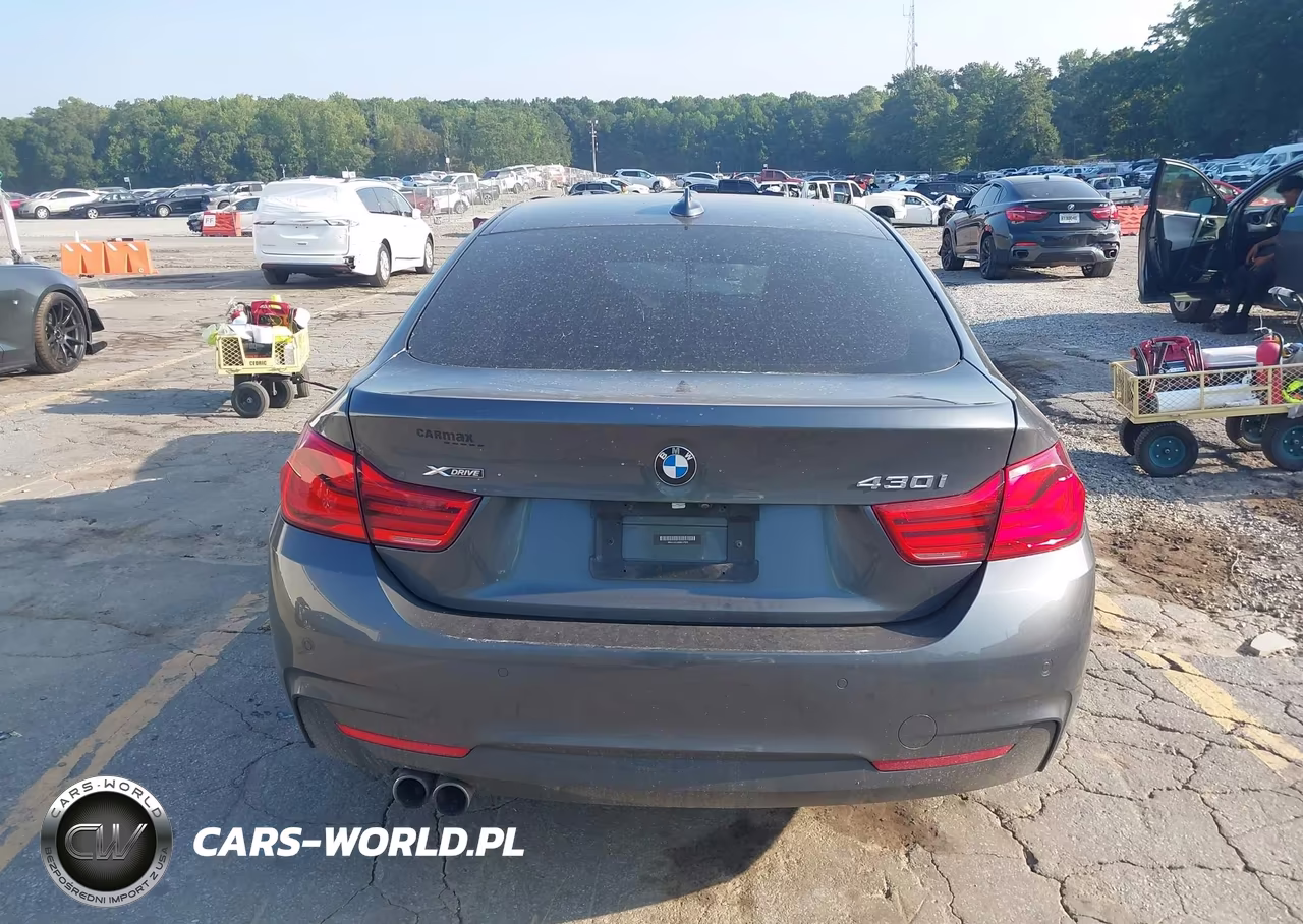 2019 BMW 430I Gran Coupe xDrive VIN:WBA4J3C50KBL07826 - 16