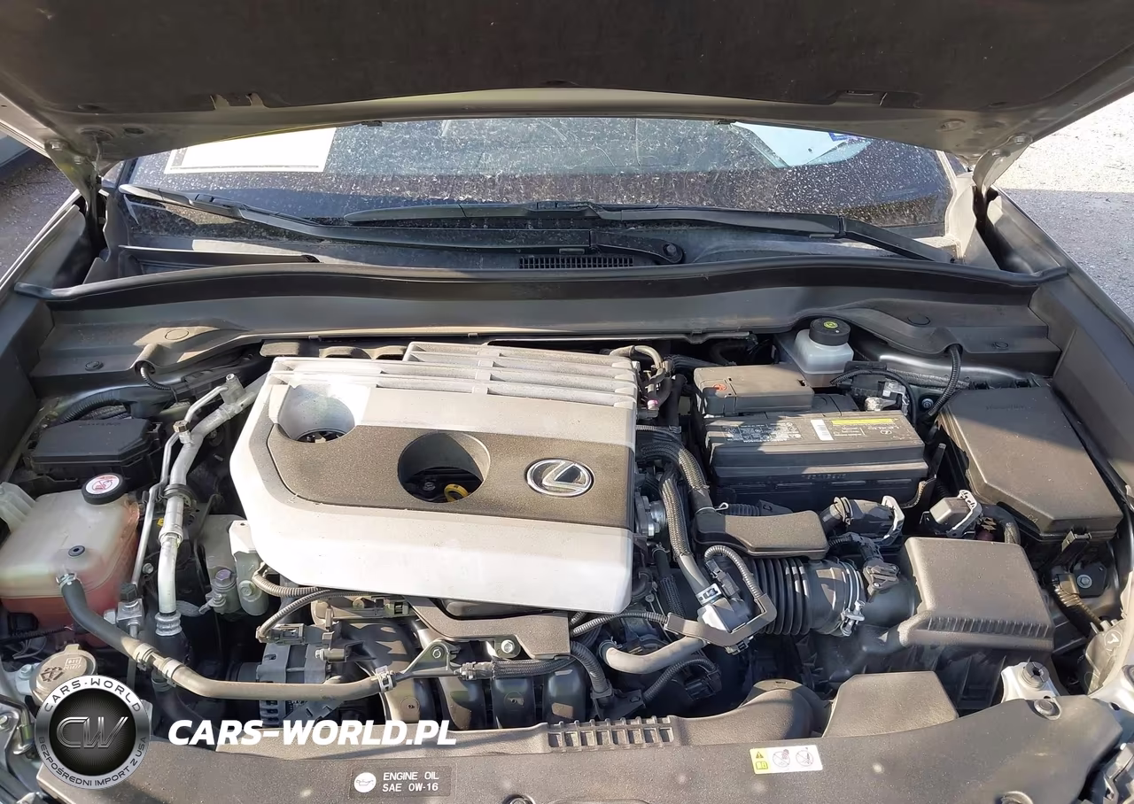 2019 Lexus Ux 200 VIN:JTHY3JBH7K2010727 - 10
