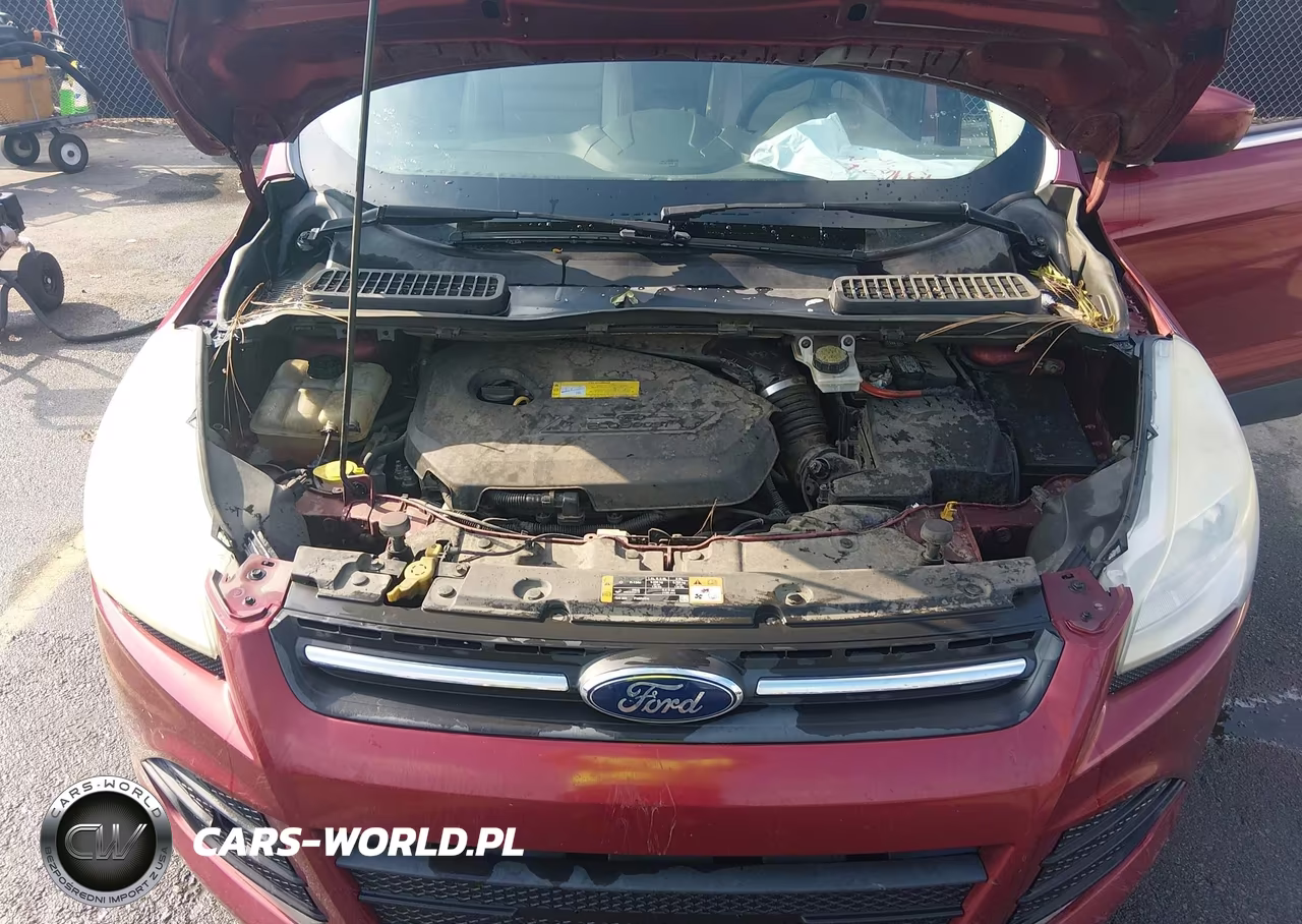 2016 Ford Escape Se VIN:1FMCU0GX9GUB19412 - 10