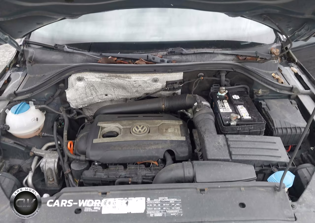 2010 Volkswagen Tiguan Se VIN:WVGAV7AX1AW510071 - 10
