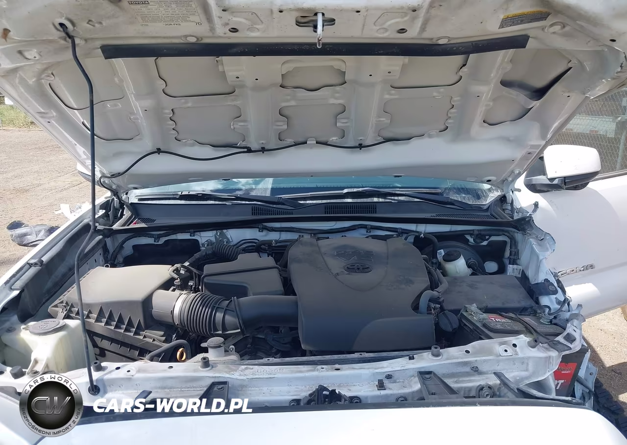 2019 Toyota Tacoma Sr5 V6 VIN:3TMAZ5CN6KM084257 - 10