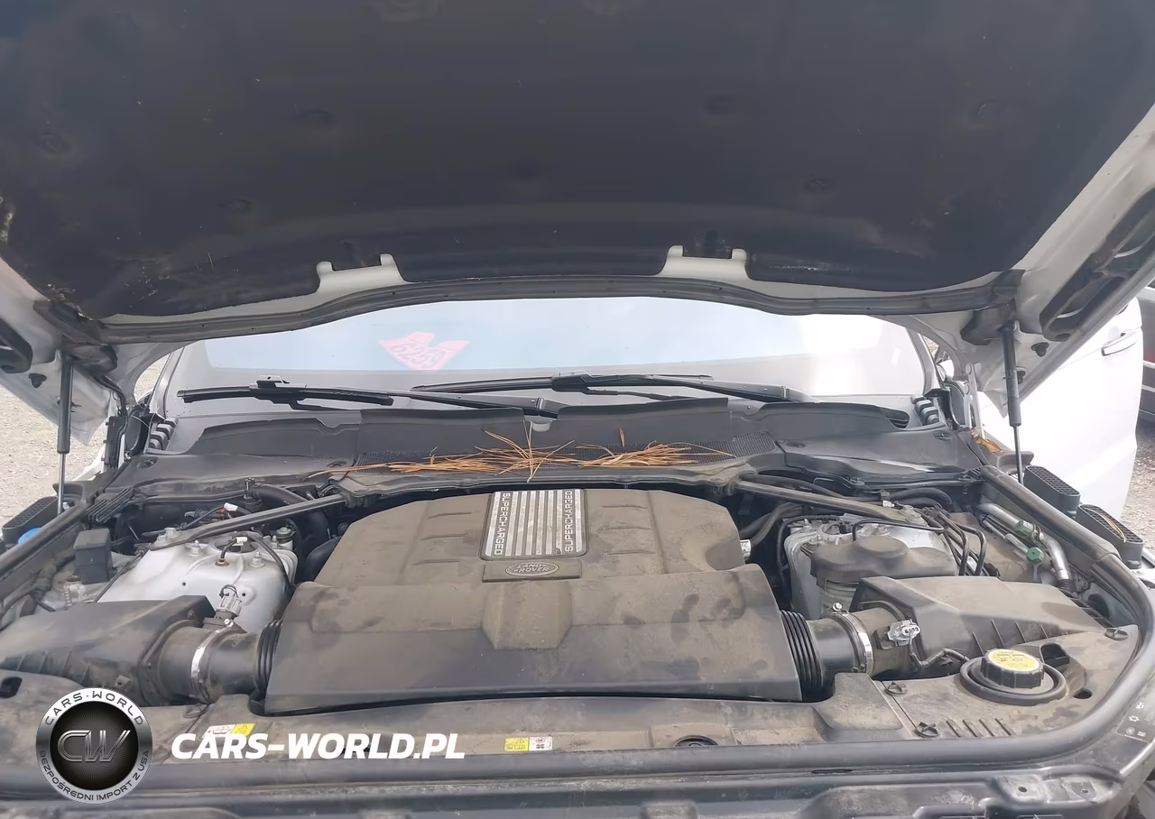 2019 Land Rover Range Rover Sport Autobiography VIN:SALWV2RE9KA854383 - 10
