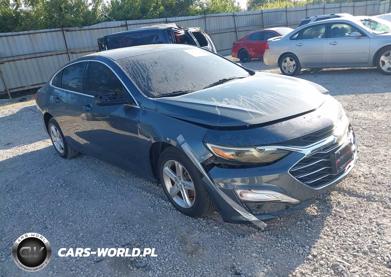 2019 Chevrolet Malibu 1Ls