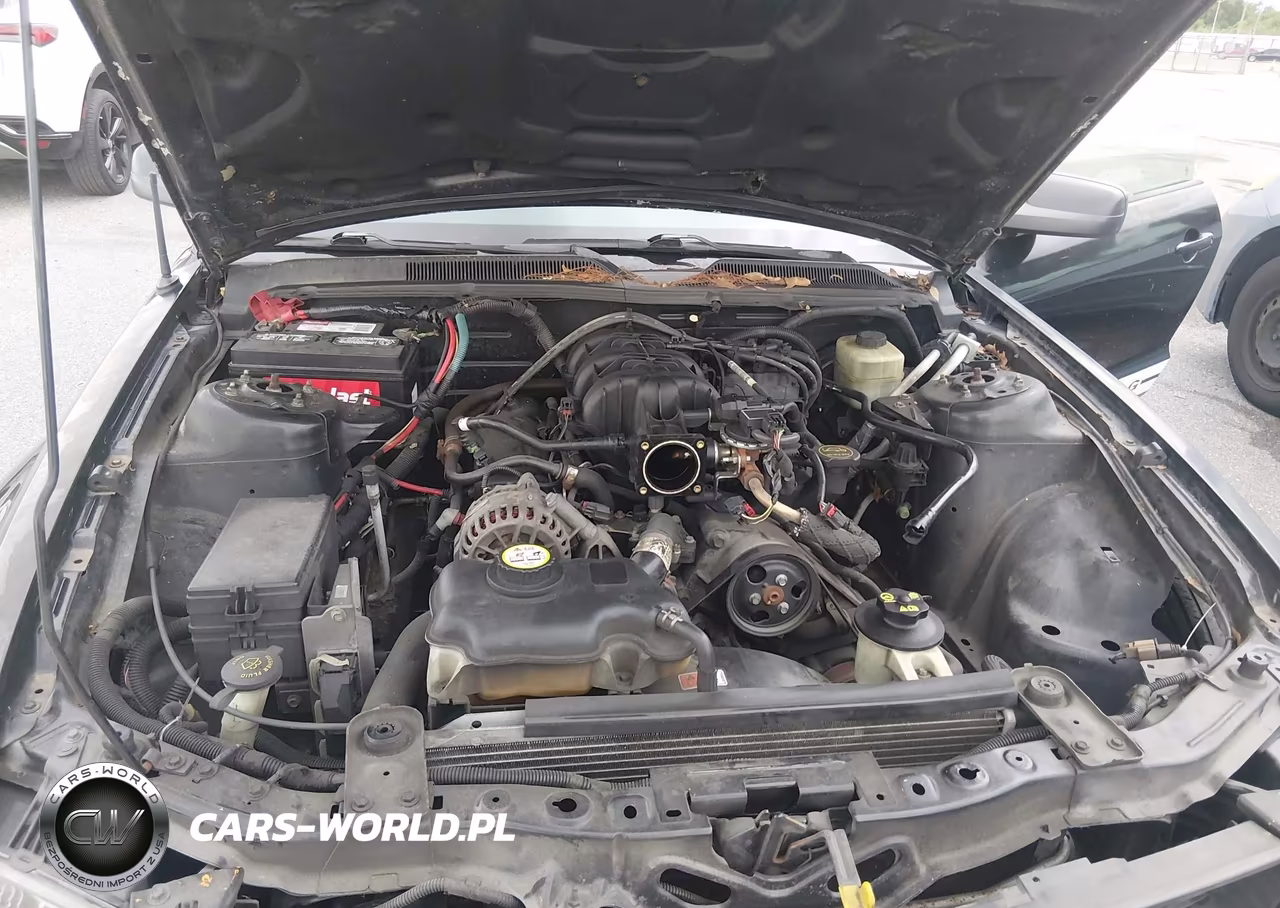 2006 Ford Mustang V6 VIN:1ZVFT80N965115071 - 10