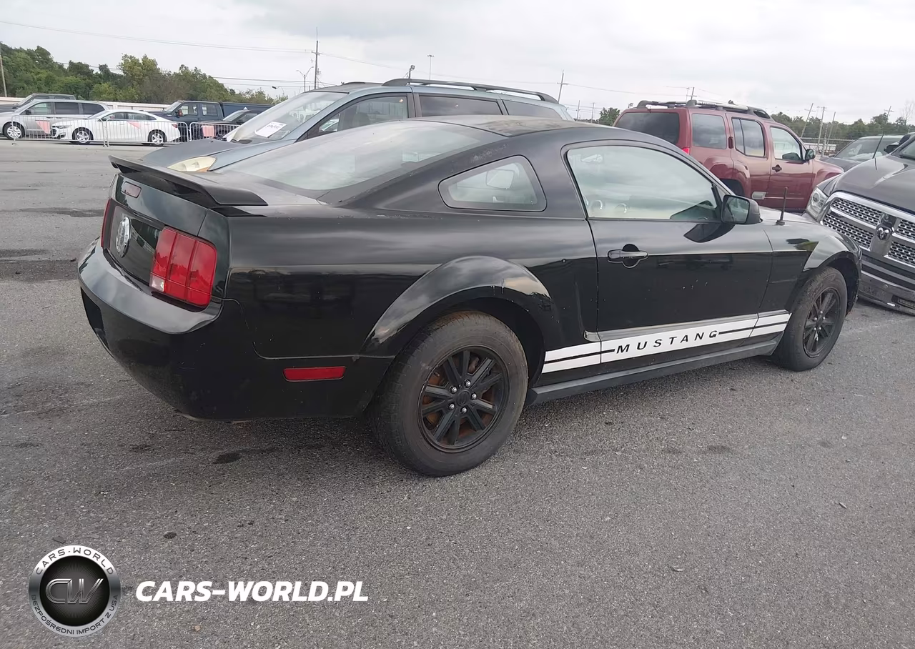 2006 Ford Mustang V6 VIN:1ZVFT80N965115071 - 4