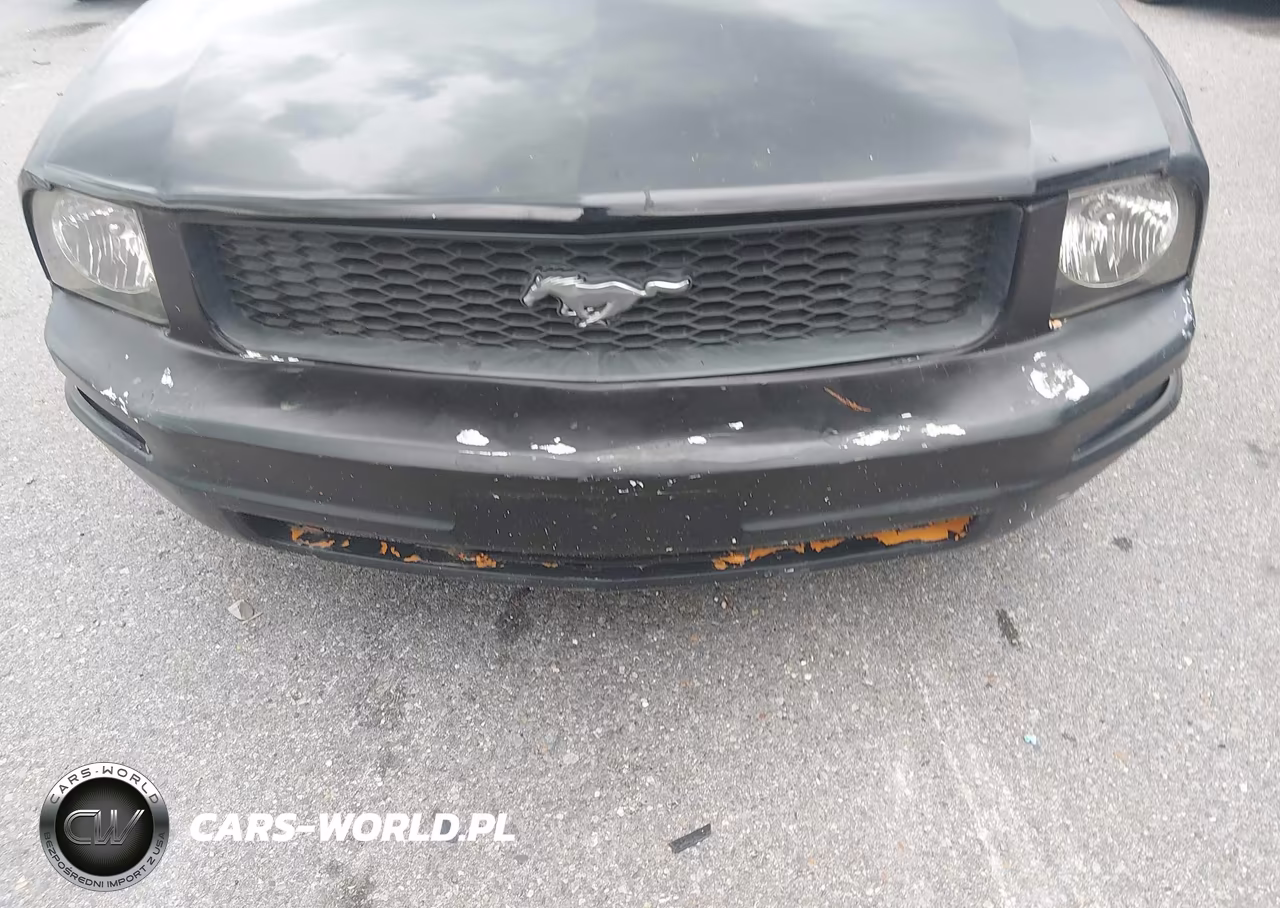 2006 Ford Mustang V6 VIN:1ZVFT80N965115071 - 6