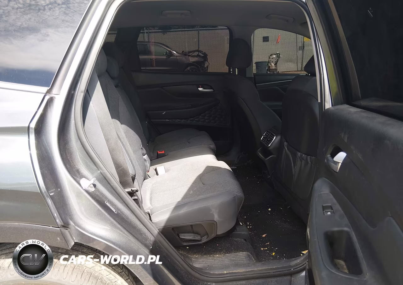 2020 Hyundai Santa Fe Se VIN:5NMS2CAD9LH207304 - 8
