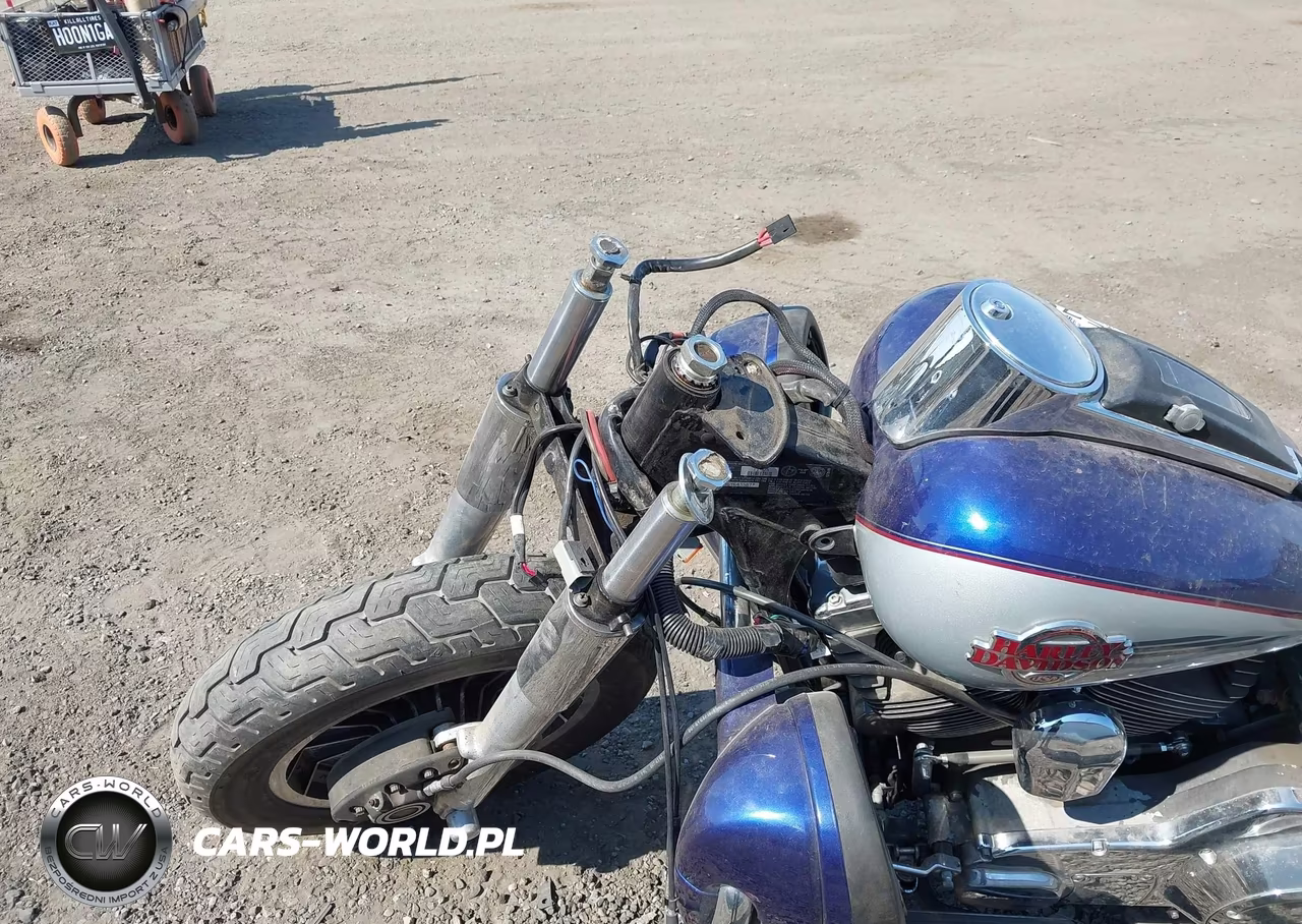 2006 Harley-Davidson Flhtcui VIN:1HD1FCW196Y643587 - 13