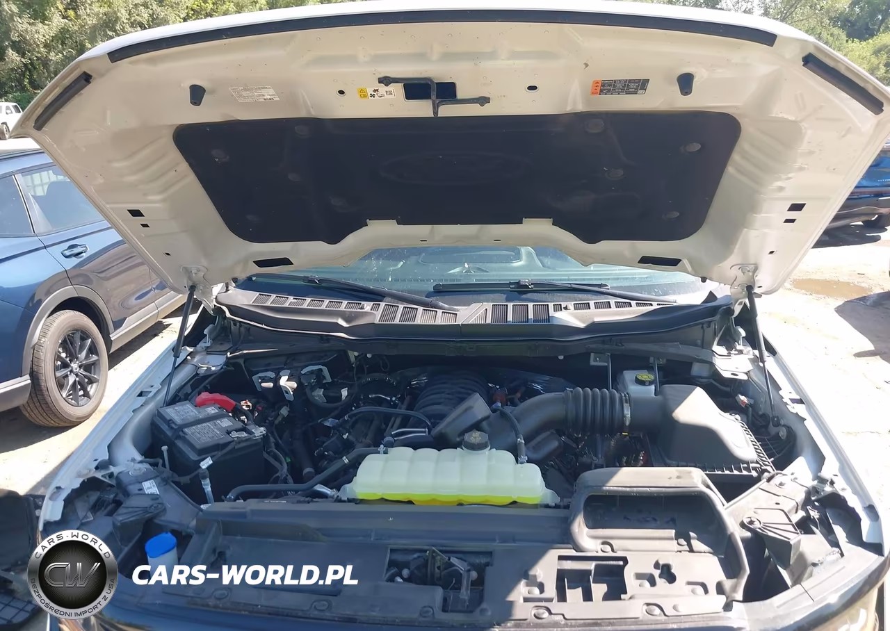 2025 Ford F-150 Xlt VIN:1FTFW3L51SFC71618 - 10