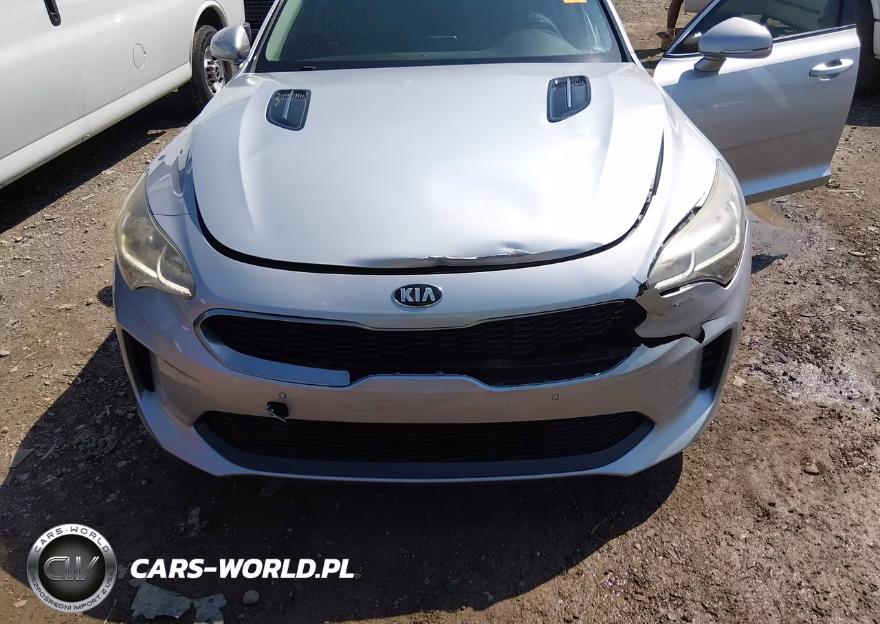 2018 Kia Stinger Premium VIN:KNAE25LA7J6015317 - 6