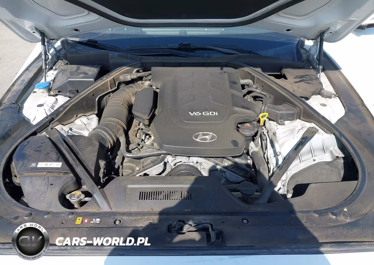2015 Hyundai Genesis 3.8 VIN:KMHGN4JEXFU047003 - 10