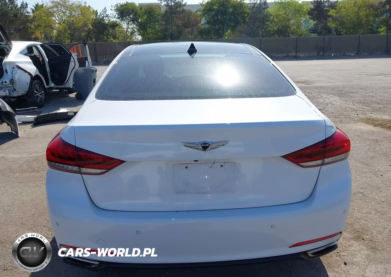 2015 Hyundai Genesis 3.8 VIN:KMHGN4JEXFU047003 - 16