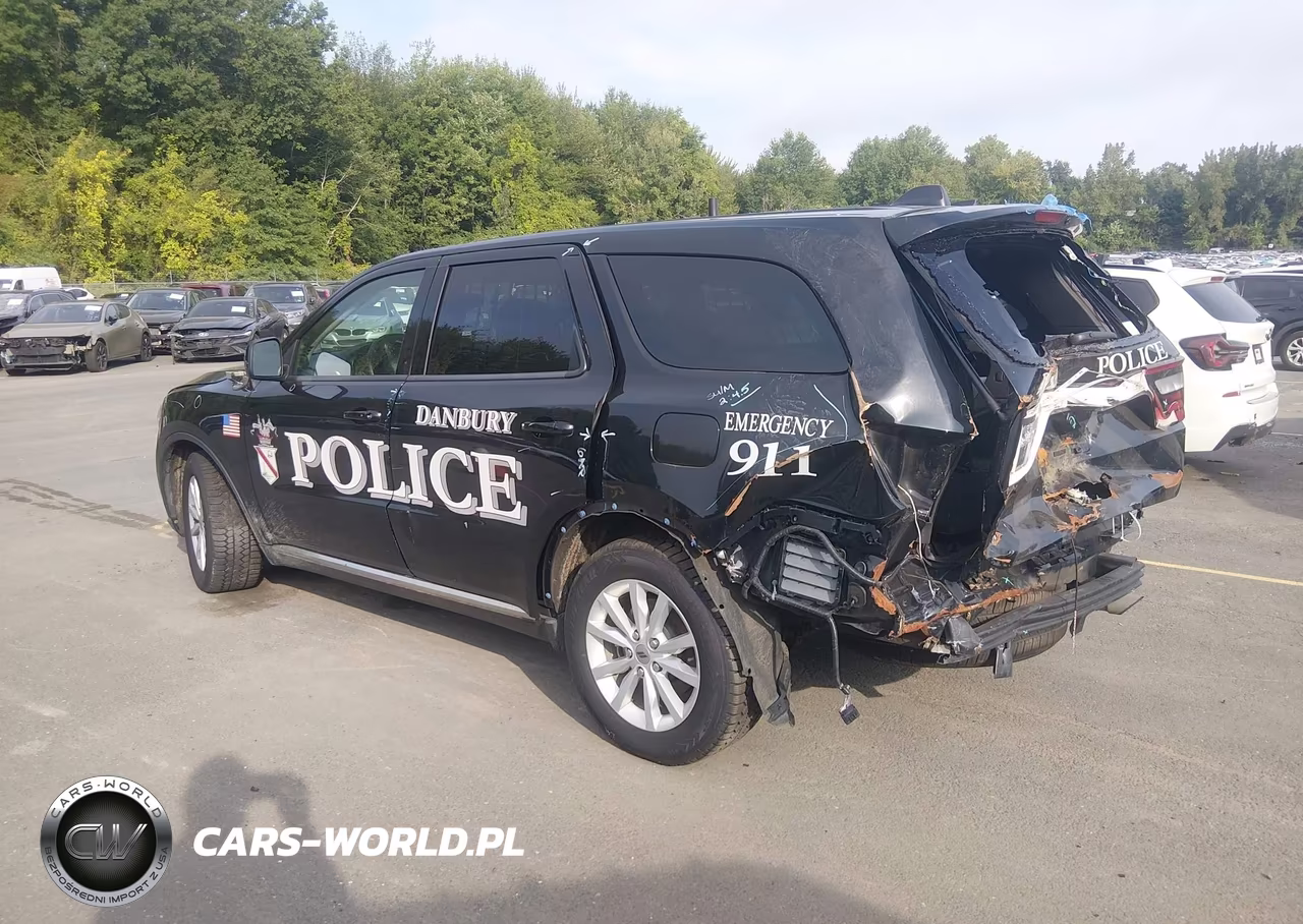 2020 Dodge Durango Pursuit Awd VIN:1C4RDJFG4LC369999 - 3
