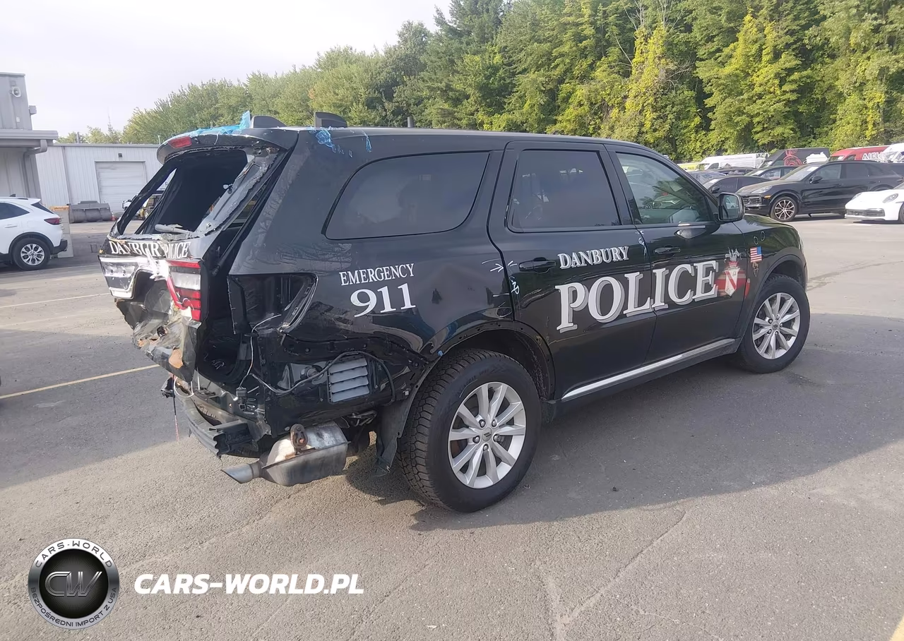 2020 Dodge Durango Pursuit Awd VIN:1C4RDJFG4LC369999 - 4