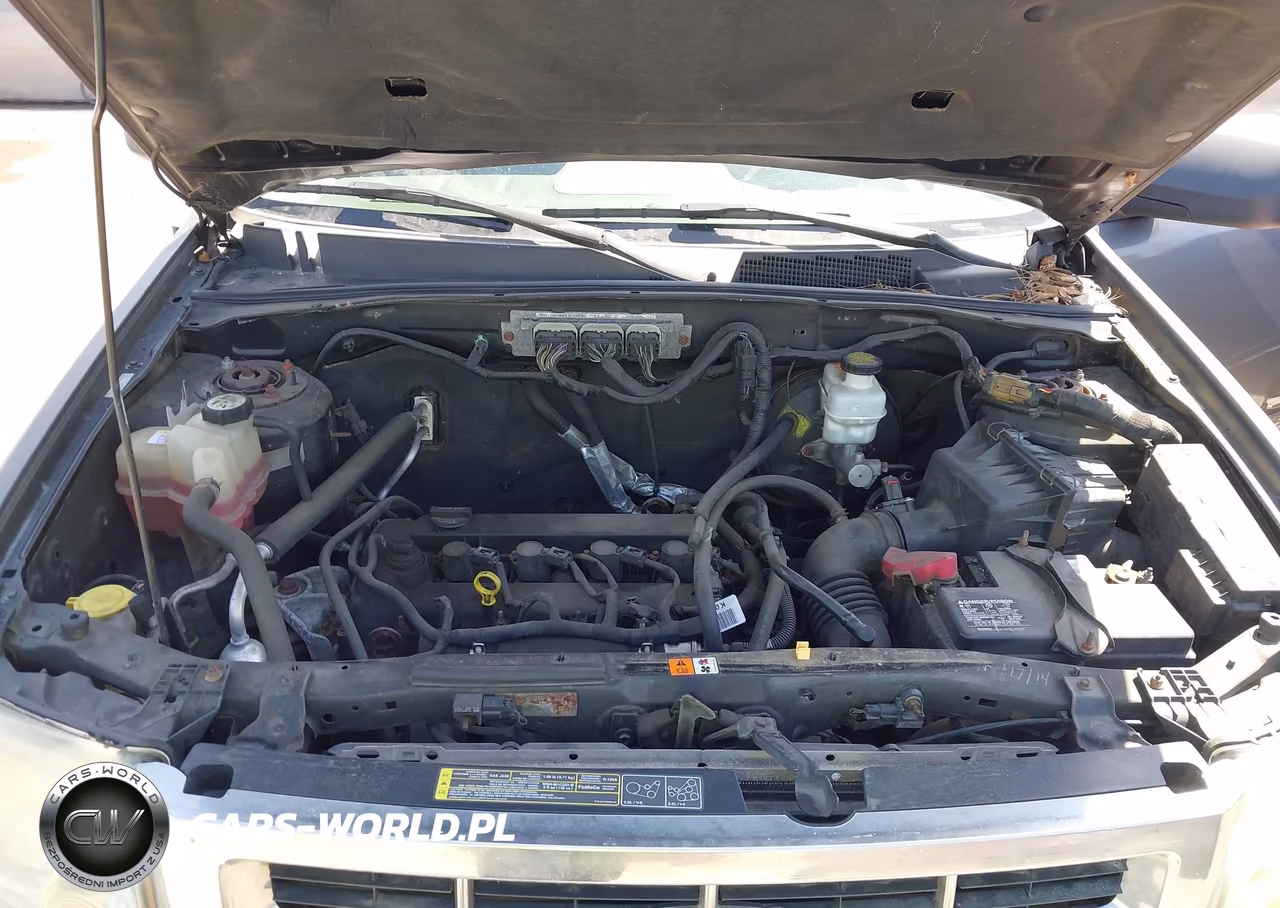 2009 Ford Escape Xlt VIN:1FMCU93739KC59206 - 10