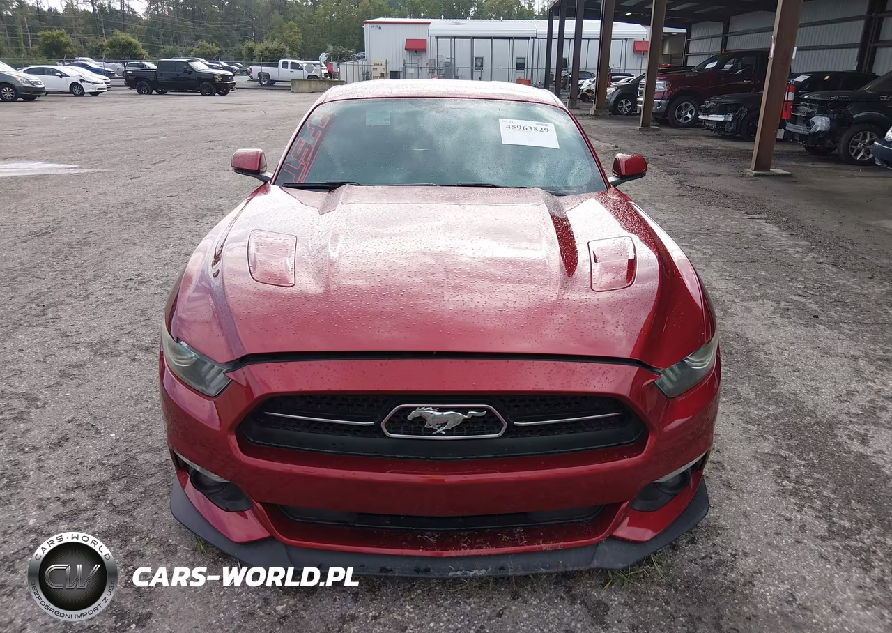 2015 Ford Mustang Gt Premium VIN:1FA6P8CF3F5372745 - 12