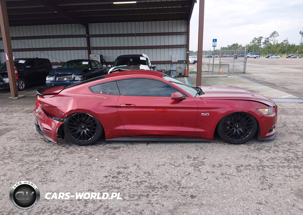 2015 Ford Mustang Gt Premium VIN:1FA6P8CF3F5372745 - 13